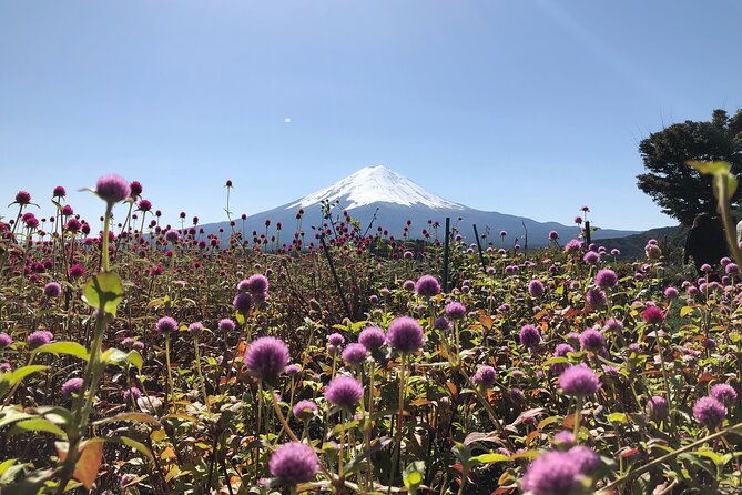 from-tokyo-mount-fuji-cruise-and-sake-tasting-tour