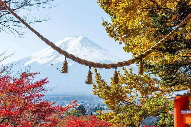 from-tokyo-mount-fuji-highlights-tour-with-kawaguchi-lake-cruise