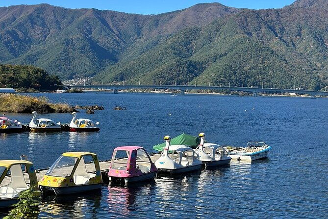 from-tokyo-mt-fuji-pvt-1-day-customized-tour-with-english-driver