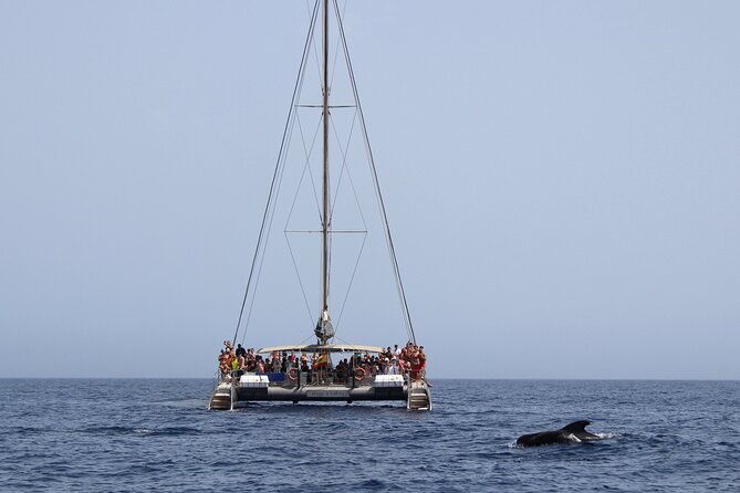 fuerteventura-magic-select-catamaran-trip-with-food-drinks
