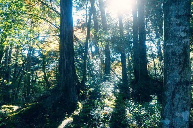 fuji-photo-tour