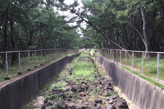 fukuoka-nature-and-cultural-sightseeing-tour