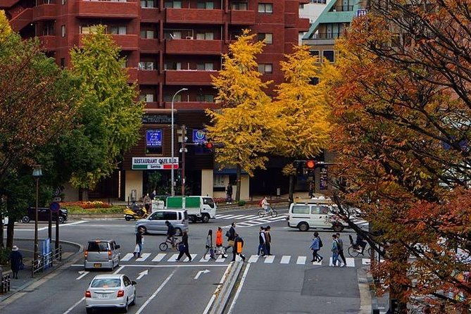fukuoka-private-customizable-half-day-tour