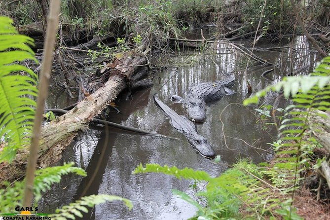 full-day-kayak-adventure-in-the-everglades