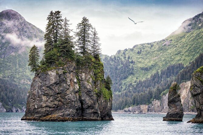 full-day-kenai-fjords-national-park-cruise