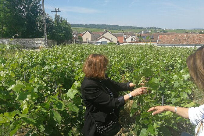 full-day-private-champagne-tasting-in-reims-and-its-vineyards