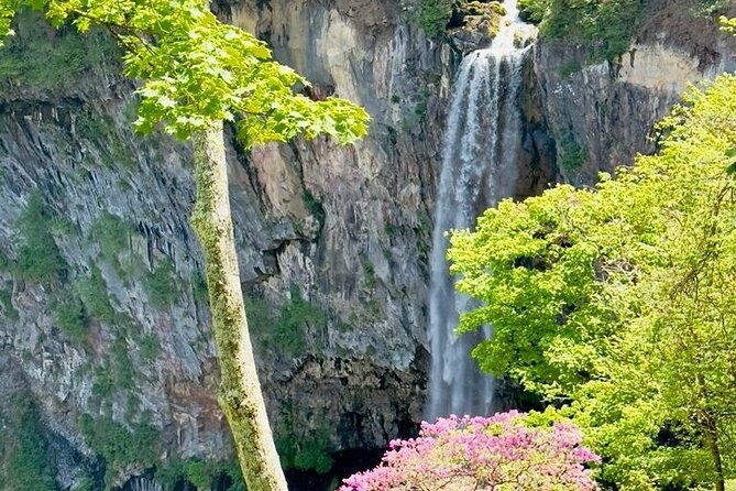 full-day-private-nikko-tour-from-tokyo-wd-english-speaking-driver