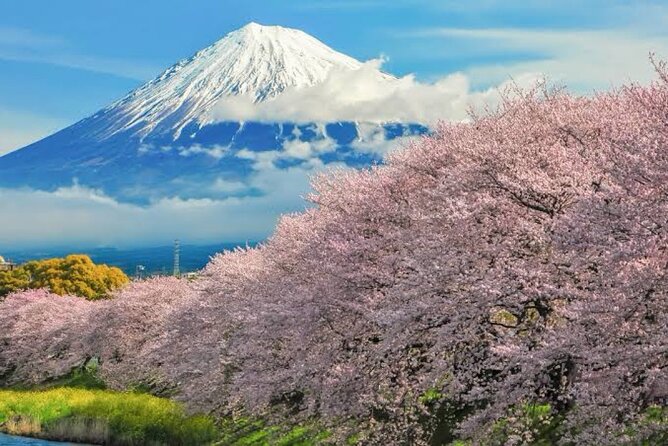 full-day-private-tour-of-mt-fuji