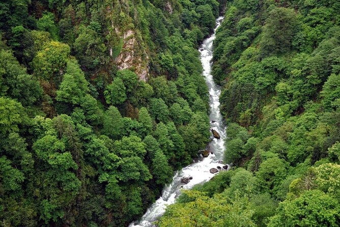 full-day-private-tour-to-ayder-plateau-from-trabzon