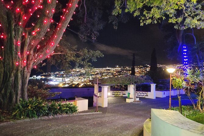 funchal-christmas-lights-sightseeing-night-tour