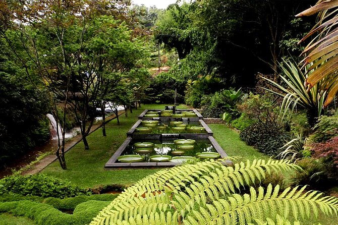 furnas-and-terra-nostra-botanic-park-guided-tour-w-hotsprings