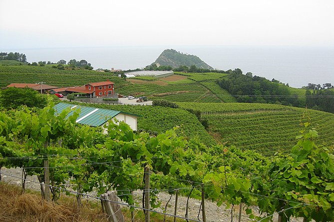 getaria-txakoli-wine-tour-with-hotel-pick-up-from-san-sebastian