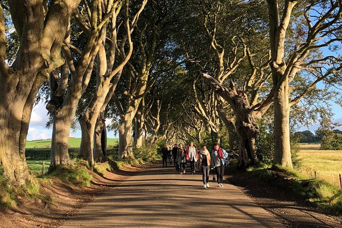 giants-causeway-rope-bridge-carrickfergus-castle-and-dark-hedges-tour