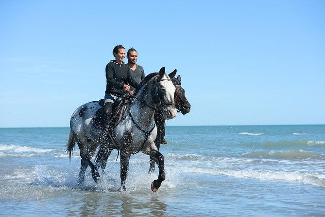 golden-hour-gallop-evening-ride-in-paros