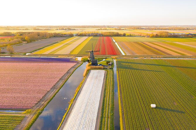 guided-bike-tour-along-the-dutch-tulip-fields-in-noord-holland