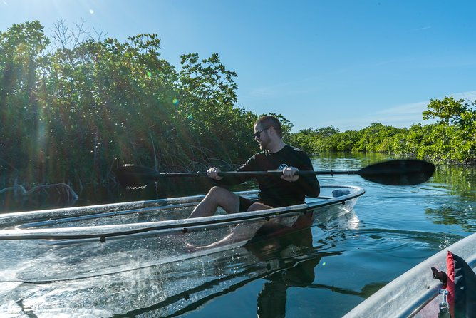 guided-clear-kayak-eco-tour-near-key-west