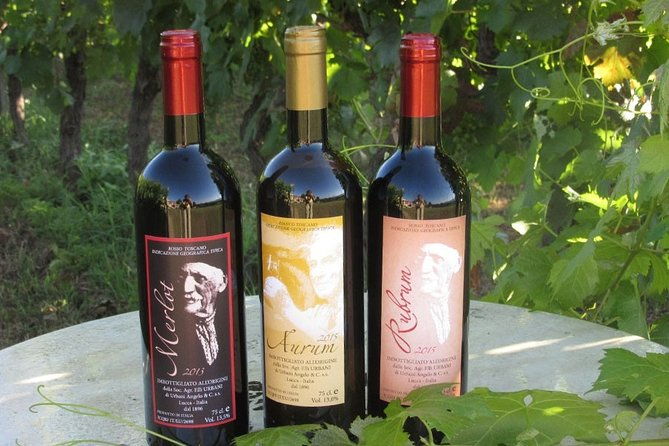 guided-e-bike-tour-with-wine-tasting-from-lucca