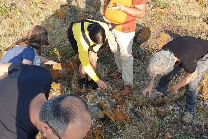 guided-geological-excursion-to-ustica