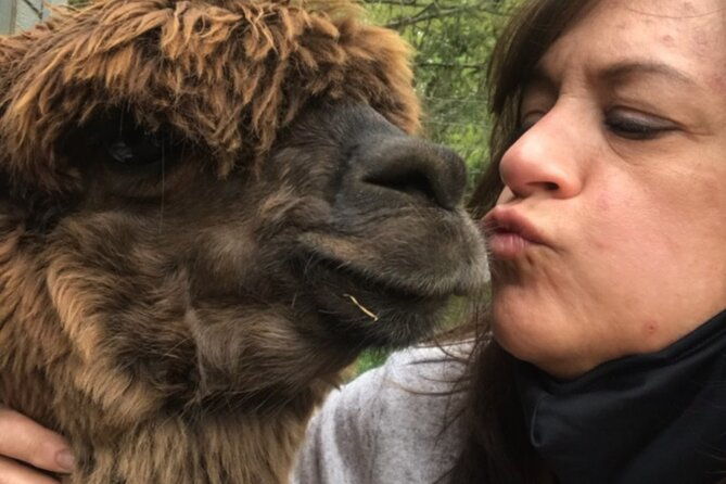 guided-lilymoore-alpaca-farm-tour