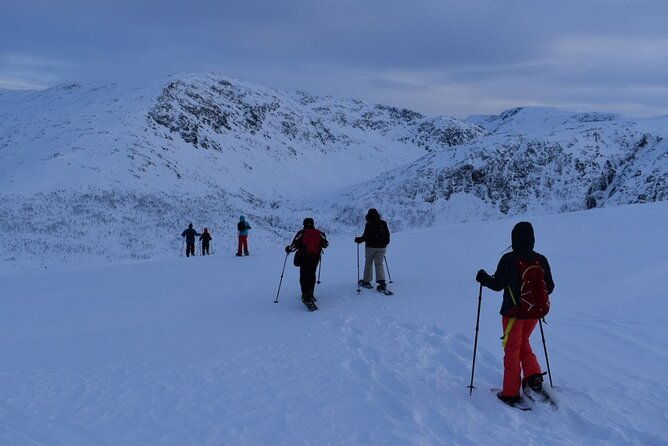 guided-snowshoe-walk-on-tromsoya-island-in-tromso