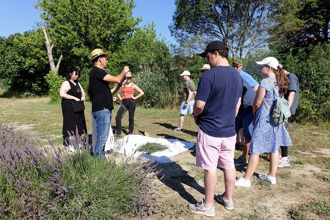 guided-tour-of-lavender-distillery-between-provence-camargue