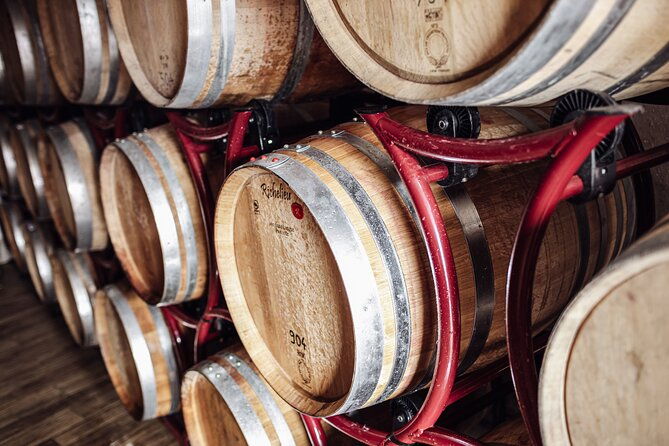 guided-winery-tour-with-tasting-in-bolzano-at-the-skywine-pavillon