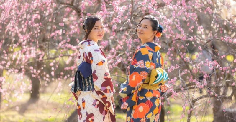 hagi-city%ef%bc%9akimono-experience-in-the-castle-town
