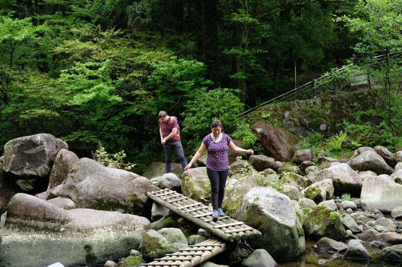 hakone-hachiri-old-tokaido-highway-hiking-half-day-tour