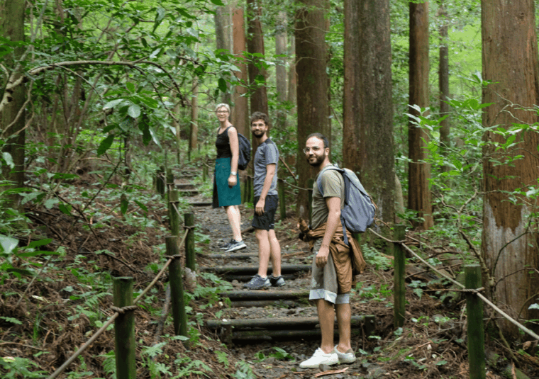 hakone-hachiri-old-tokaido-highway-hiking-tour