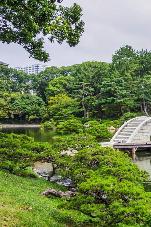 half-day-hiroshima-highlights-tour