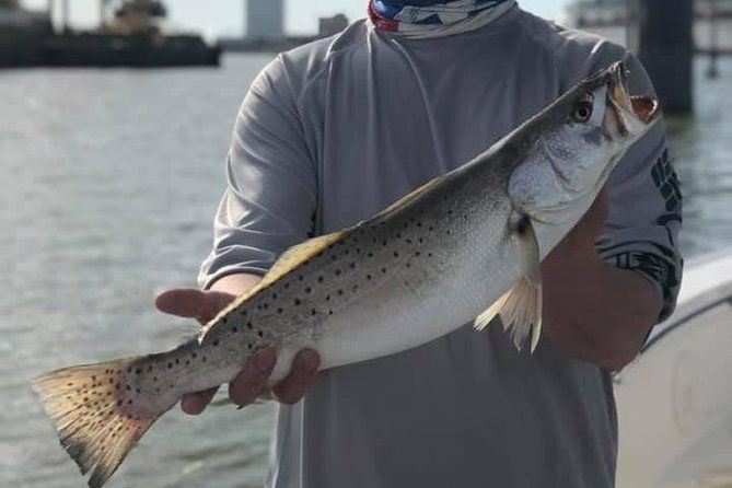 half-day-jetty-fishing-trip-from-galveston