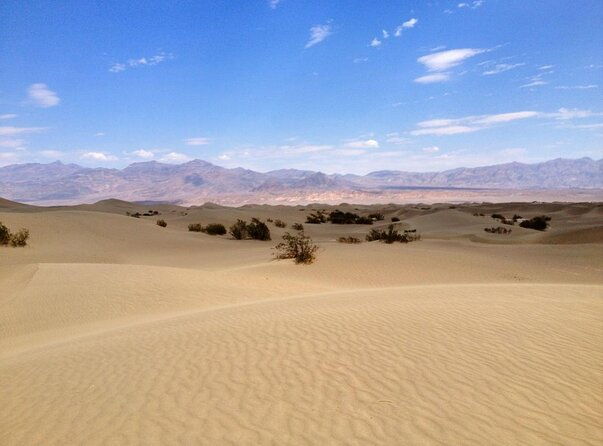 half-day-mojave-desert-atv-tour-from-las-vegas