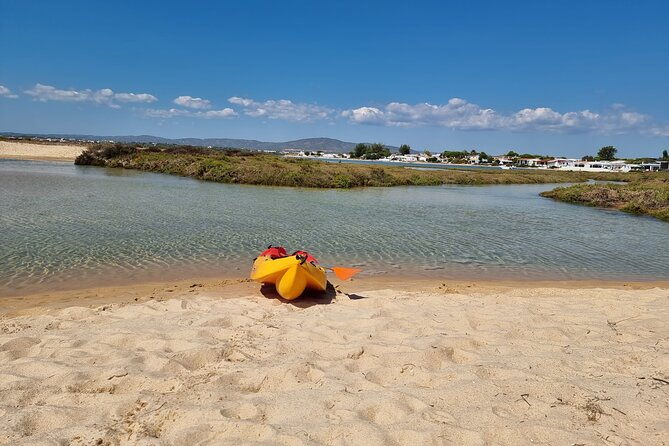 half-day-private-guided-kayak-island-tour