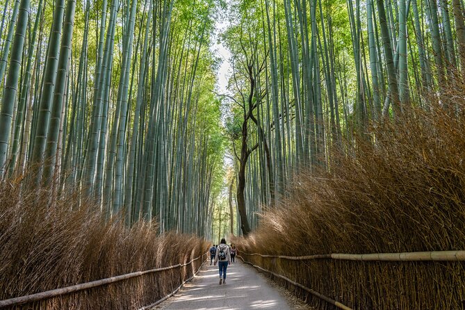 hidden-temples-in-kyoto-a-self-guided-zen-tour