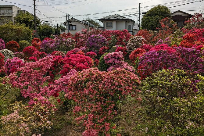 hidden-temples-tour-of-tokyo-in-karasuyama