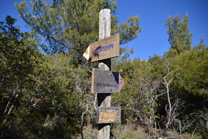 hiking-in-parnitha-national-park-from-athens