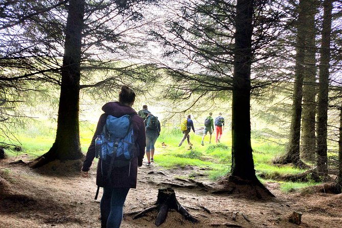 hill-nature-hike-discover-real-edinburgh-with-a-local-expert