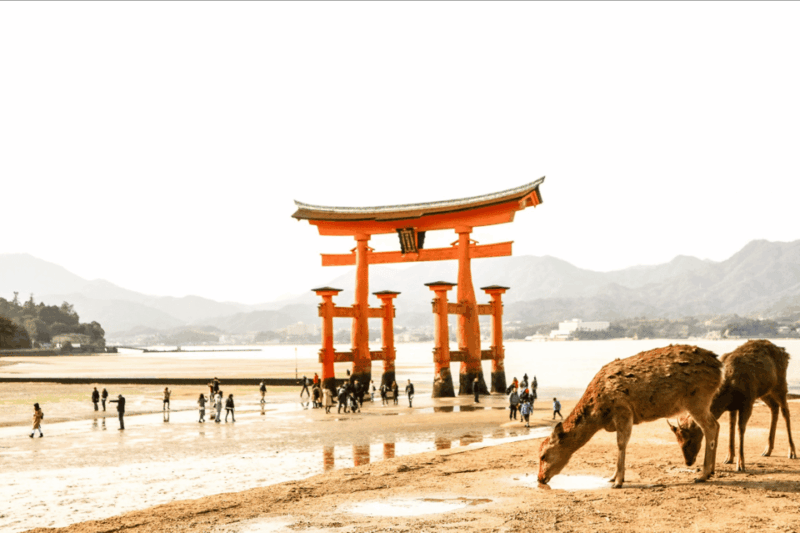 hiroshima-miyajima-tour-with-english-spanish-speaker-guide