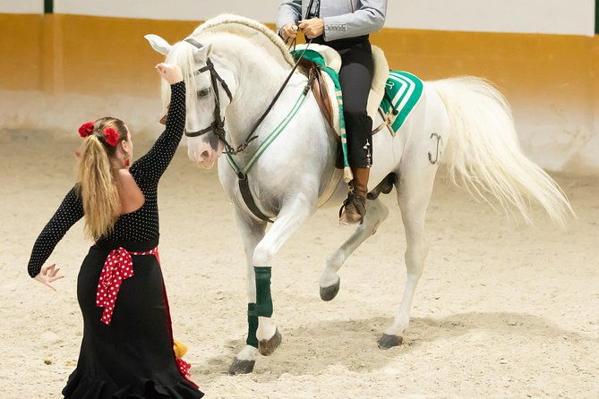 horse-and-flamenco-show-in-malaga