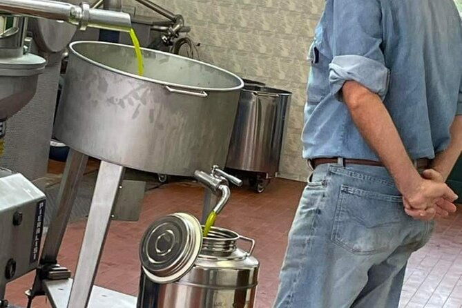 horse-ride-olive-oil-and-local-foods-tasting-in-a-tuscan-farm