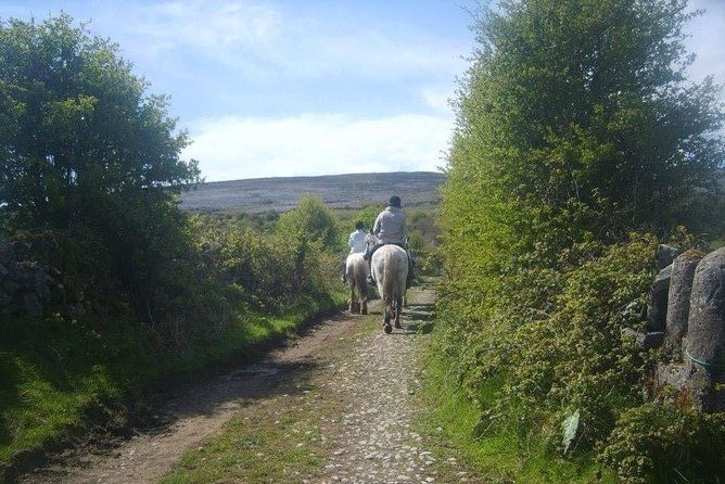 horse-riding-burren-trail-lisdoonvarna-co-clare-guided-3-hours