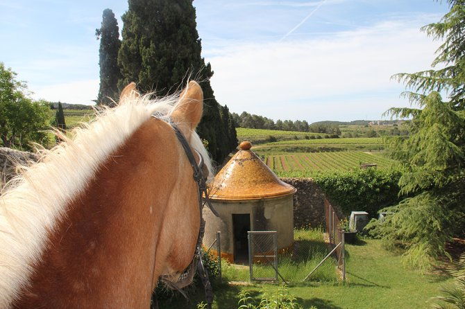 horseback-ride-penedes-wine-tasting-tapas-lunch