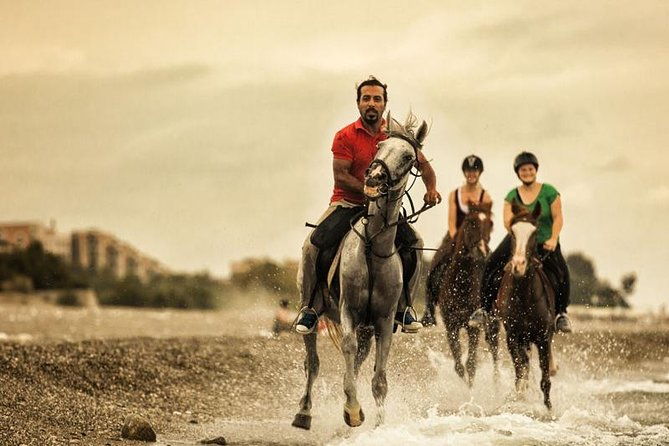 horseback-riding-from-kusadasi-port-for-cruise-guests