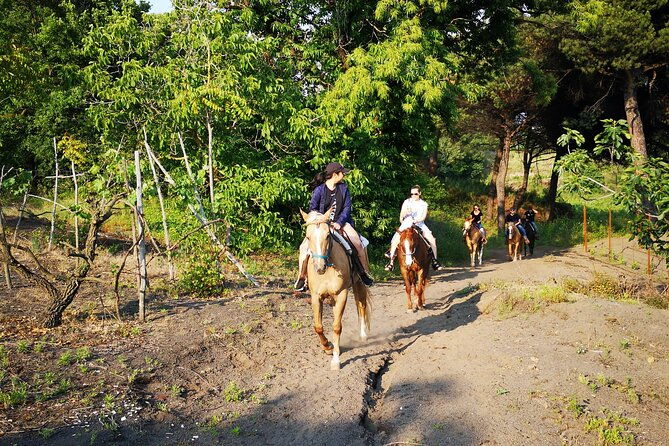 horseback-riding-on-vesuvius