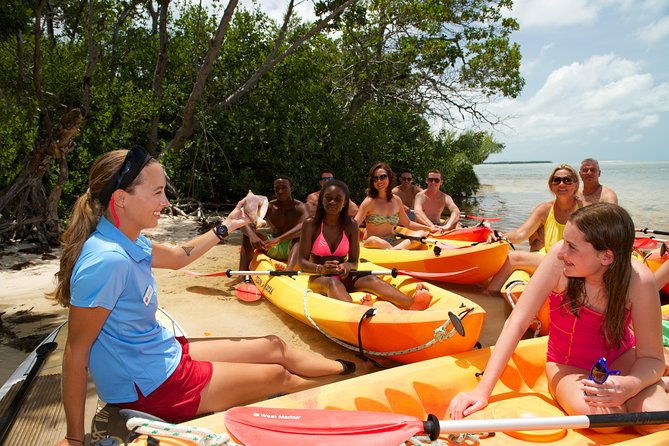 island-adventure-eco-tour-explore-key-wests-hidden-backcountry