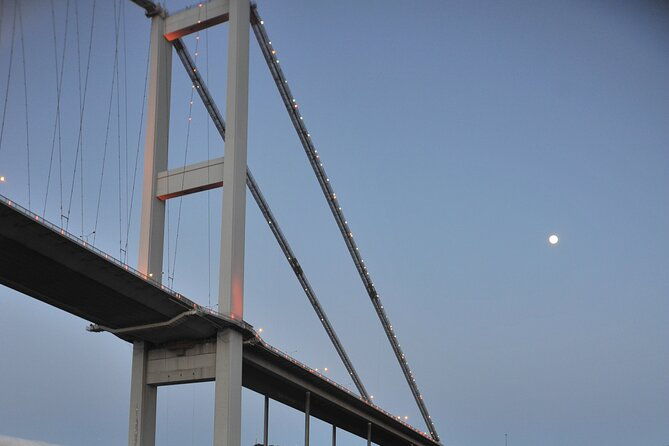 istanbul-bosphorus-and-golden-horn-cruise-with-audio-guide