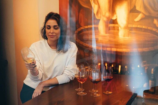 istanbul-private-wine-tasting-tour-through-3-city-wineries