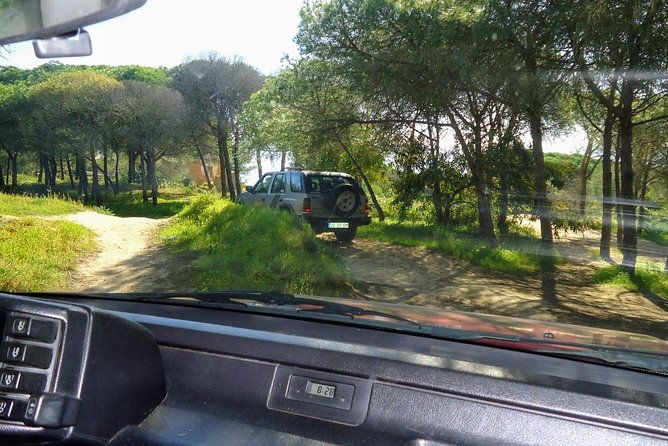jeep-half-day-tour-of-our-algarve-coast-and-mountains