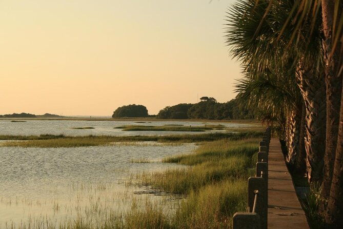 jekyll-island-dolphin-tours