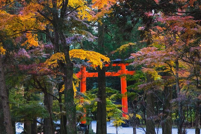 kagoshima-private-customized-full-day-tour